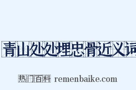 青山处处埋忠骨近义词是什么意思的图片